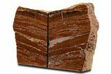 Tall, Arizona Petrified Wood Bookends - Brick Red #344123-1